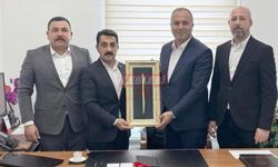 Tosik’ten Hızlı Yükseliş