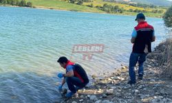 Balık Ölümlerinin Olduğu Gölet İncelemeye Alındı