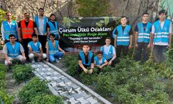 Ülkü Ocaklarından Gençlere Sürdürülebilir Tarım Eğitimi