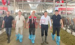 Taş, Haftasonu da Sahada İnceleme Yaptı
