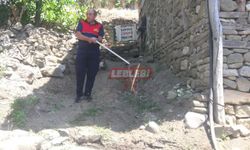 Köyde Evlere Girmeye Çalışan Yılan Paniğe Neden Oldu