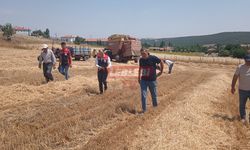 Seydim'de Biçerdöver Denetimi ve Verim İncelemesi