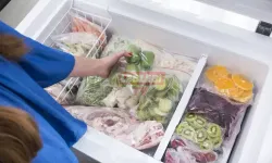 Dondurulmuş Gıdalar Ne Kadar Güvenli?