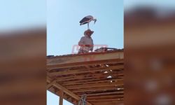 Böyle Talih Kuşu Görülmedi