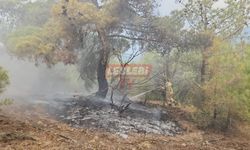 Yıldırım Ormana Düştü, Ekipler Zamanla Yarıştı