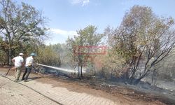Yol Kenarındaki Atıklar Sıcaktan Tutuştu 6 Dekar Alan Kül Oldu