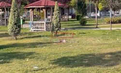 Sanayideki Parklar İçler Acısı Durumda