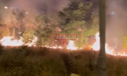 Havai Fişek Attılar, Mahalleyi Yaktılar!