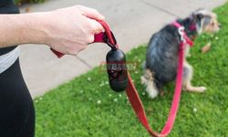 “Çocuk Parkları Evinde Köpeği Olanların Çiş Alanı Değil”