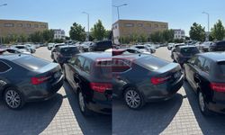 Bu Rezilliği Kim Çözecek Kim Düzeltecek?