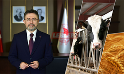 Tarım Bakanlığı Hayvan Pazarları İle İlgili O İddialara Yanıt Verdi