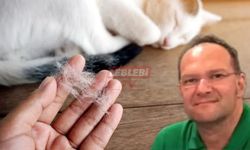 Ciğerine Kedi Tüyü Kaçan Şahıs Öldü
