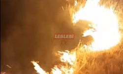 Köyde Yangın Paniği: Araziler Gece Alevlere Teslim Oldu