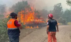 Yüreğimiz Yanıyor! 10 Orman İşçisi Şehit Oldu