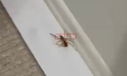 Evlere Kadar Girdiler Vatandaş Tedirgin