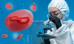 Bir Tek Antibiyotik Kaldı, O Da Dirençli Hale Gelirse Büyük Kriz Kapıda