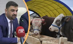 İl Genel Meclisi İlimizdeki Şap Hastalığı Durumunu İnceleyecek