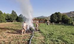 4 Milyon 459 Bin Kök Kenevir ve Skunk Ele Geçirildi