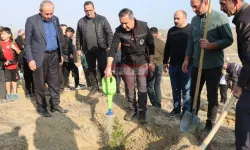 1071 Fidan Toprakla Buluşacak