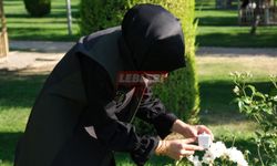 Yaprak Bitine Karşı Biyolojik Mücadele