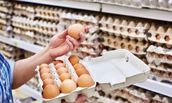 Üreticiler Dikkat” Yumurta İhracatında Yeni Dönem