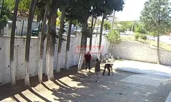 Belediye Başkanı Zabıtaları Sopayla Dövdü!
