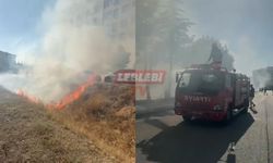 Attıkları Torpil Mahalleyi Yaktı