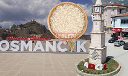 Pirincin Başkenti Osmancık Mı? Kargı Mı?