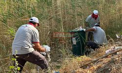 Belediye Diğ Çayı ve Otluk Alanları Temizledi