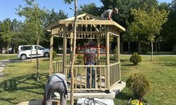 Sungurlu'yu Yeni Kamelyalar Süsleyecek