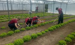 Tarım Meslek Lisesi'ne Öğrenci Kayıtları Başladı