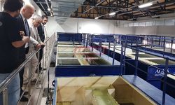 Bayat’ta Kunduzlu Barajı Sayesinde Su Kesintisi Olmuyor