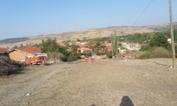 Kayıp Koyunlar Bulundu