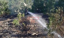 Yangın Ormanlık Alana Sıçramadan Söndürüldü