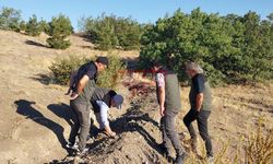 Türkiye Dayanıklı Peyzaj Entegrasyonu Projesi İle Hayat Buluyor