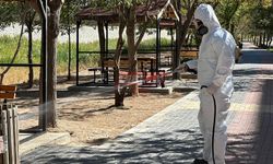 Sungurlu Belediyesi Böcekle Mücadelede Kararlı