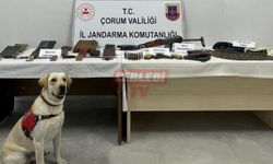 Jandarmanın Operasyonunda Neler Bulundu Neler!