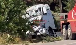 Yoldan Çıkan Tır Ağaçları Biçti