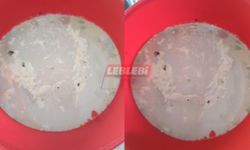 Açık Satılan Sütten Çıkanlar Mide Bulandırdı