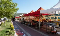 Osmancık, Festivale Hazırlanıyor