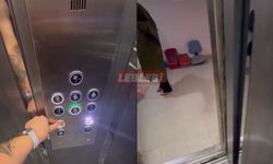 Türkiye Genelinde Olduğu Gibi Çorum’da Da Asansör Skandalları Bitmek Bilmiyor