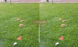 Parktaki Çevre Kirliliği Pes Dedirtti