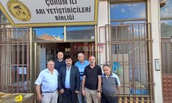 Arıcılar Doğa Temelli Risk Analizi Yapacak