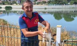 Irmağa Düşen Kediyi İtfaiye Kurtardı
