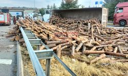 Tomruk Yüklü Kamyon Devrildi: 1 Yaralı