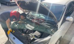 Motor Kısmına Giren Yavru Kedi Ekiplerce Kurtarıldı