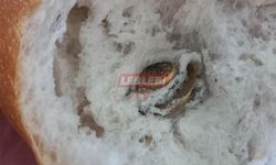 Ekmeğin İçerisinden Bu Kez Pantolon Düğmesi Çıktı