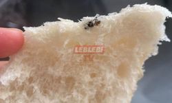 Ekmekten Çıkan Böcek Fırınlardaki Hijyeni Yeniden Hatırlattı!