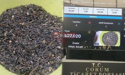 Yağlık Ayçiçeği 27 Liradan Alıcı Buldu