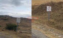 Bu Magandalığa Kim Dur Diyecek?